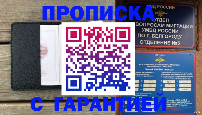 купить прописку в Пионерском